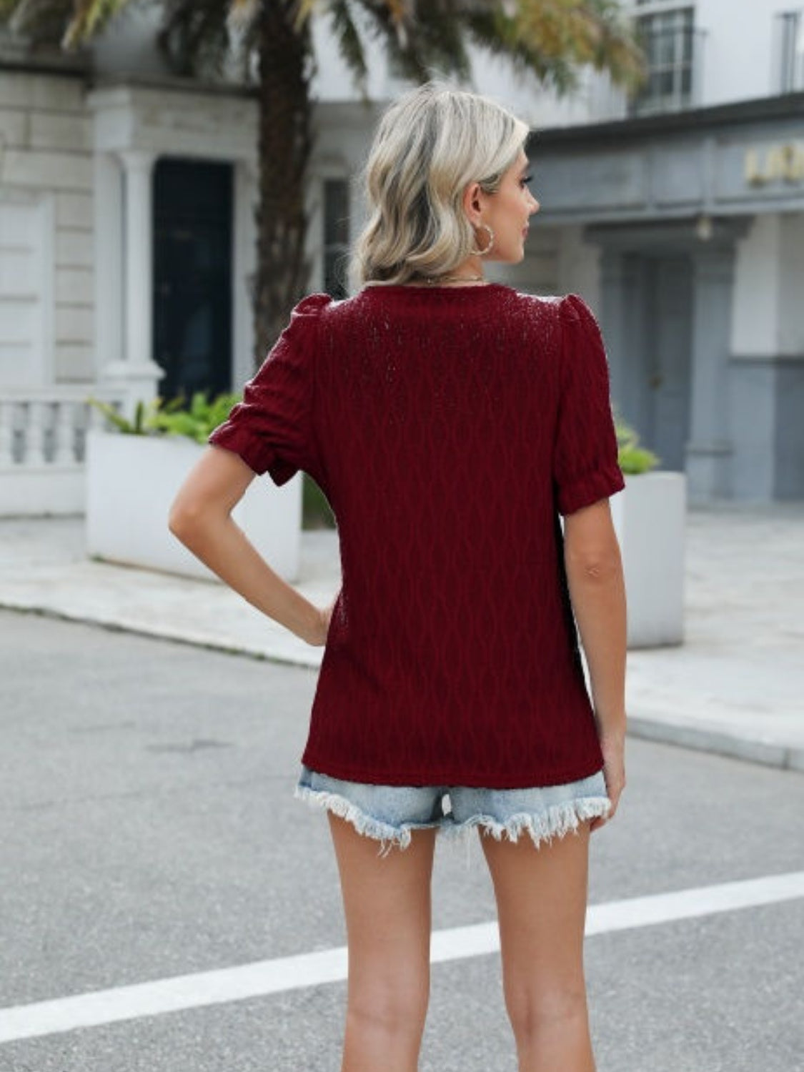 Textured Notched Short Sleeve Blouse